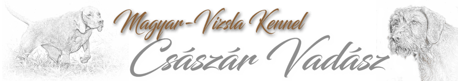 vizslaszuchts Webseite!
