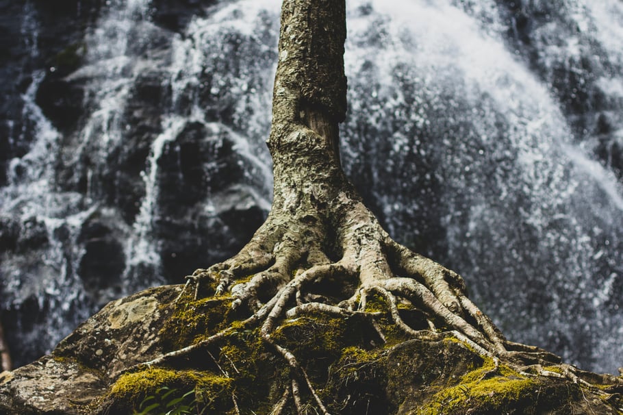 Foto von Zach Reiner auf Unsplash 