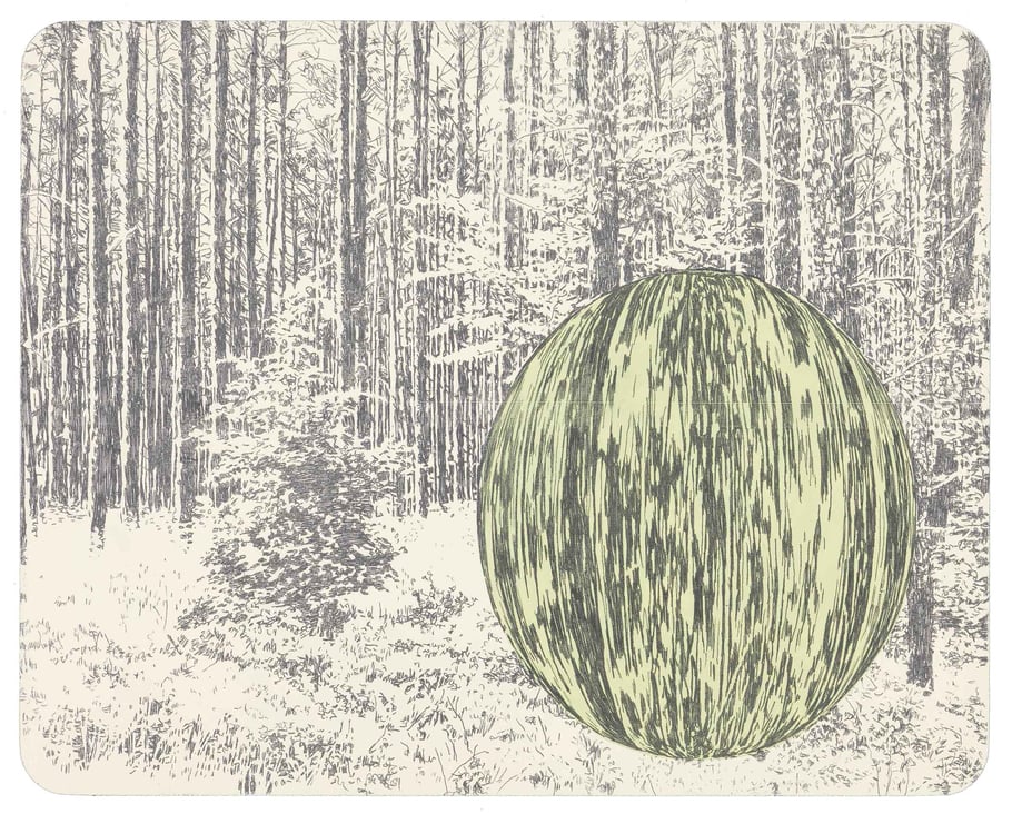 Asta Rode, Transformation