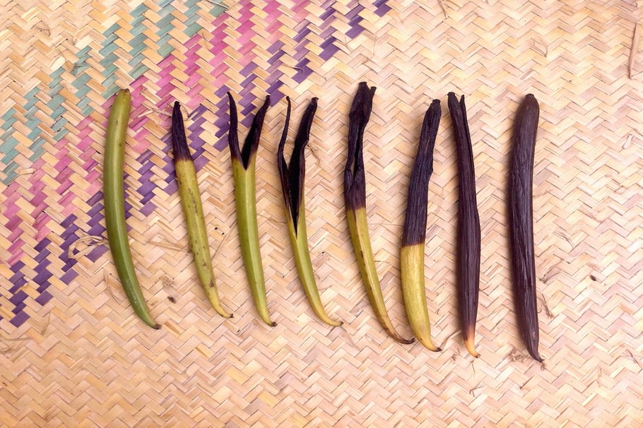 Vanilleschoten Reifeprozess Reifung Strohmatte