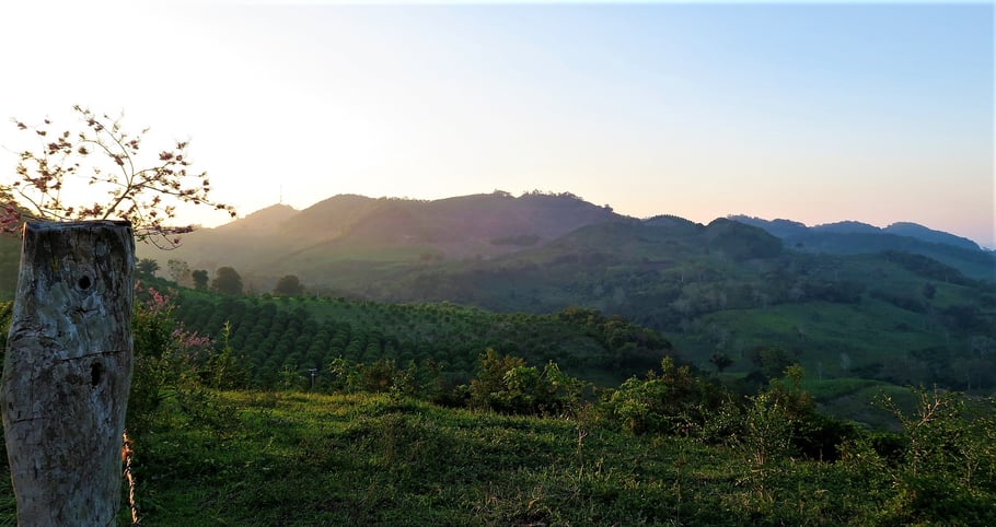 Vanille Ursprung Papantla Landschaft Sonnenuntergang