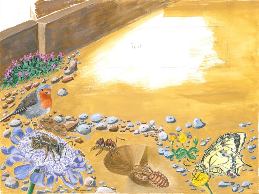 Fertige Illustration: Zum Einsatz kamen Bleistift, Wasserfarben und Gouache. 