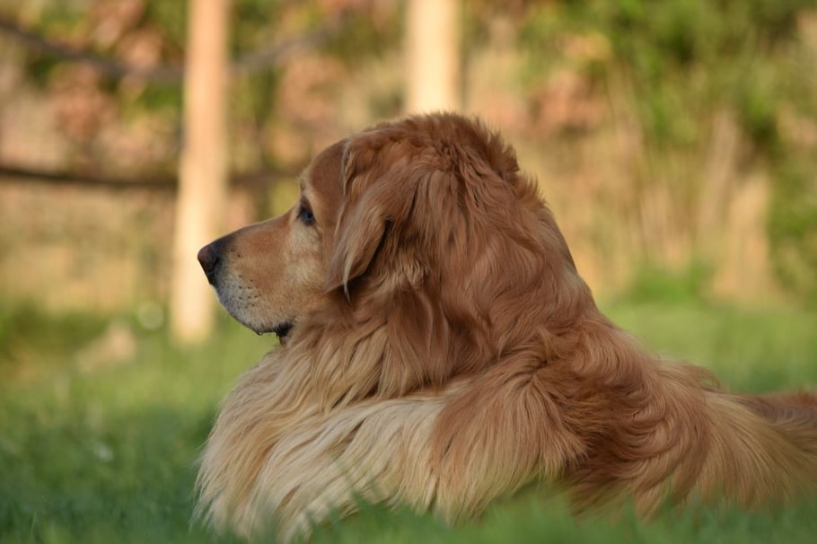 Booker Bleik im Frühjahr