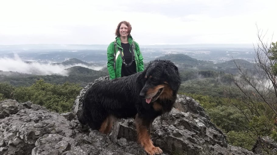 mit Annabelle in den rheinischen highlands ( Ölbergrunde im Siebengebirge)