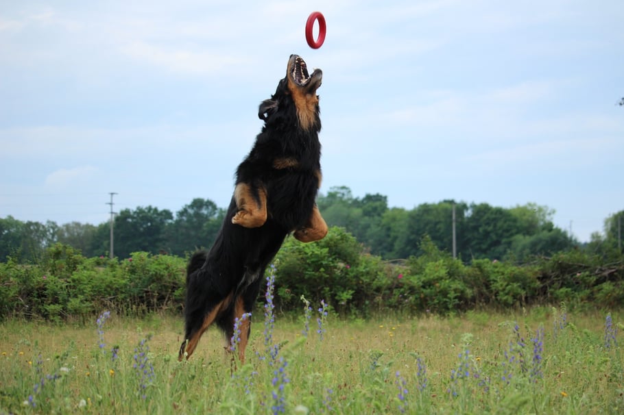 Bastian in Sewekow Frühjahr 2019