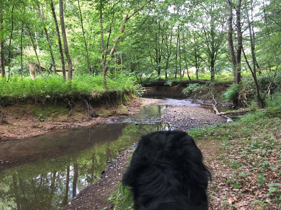Wir warten auf Nachricht über Nachwuchs von Annabelles Großnichte "Ona Jule Hoviland"