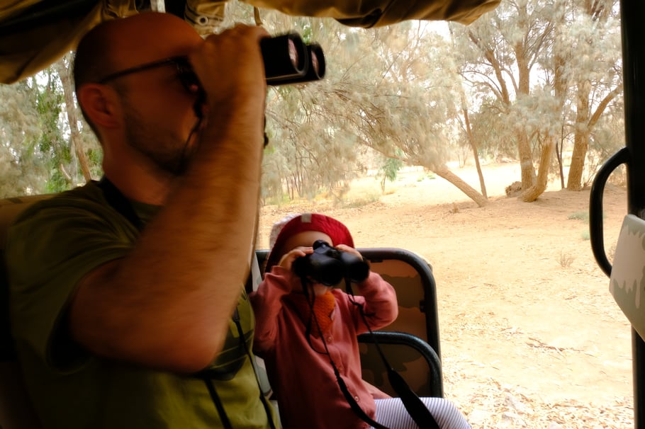 Johanna hilft uns die Oryx-Antilopen aufzuspüren