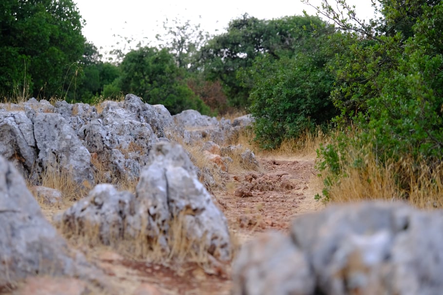 Zum Glück haben wir die Kraxe....der Kinderwagen hätte hier nichts gebracht.