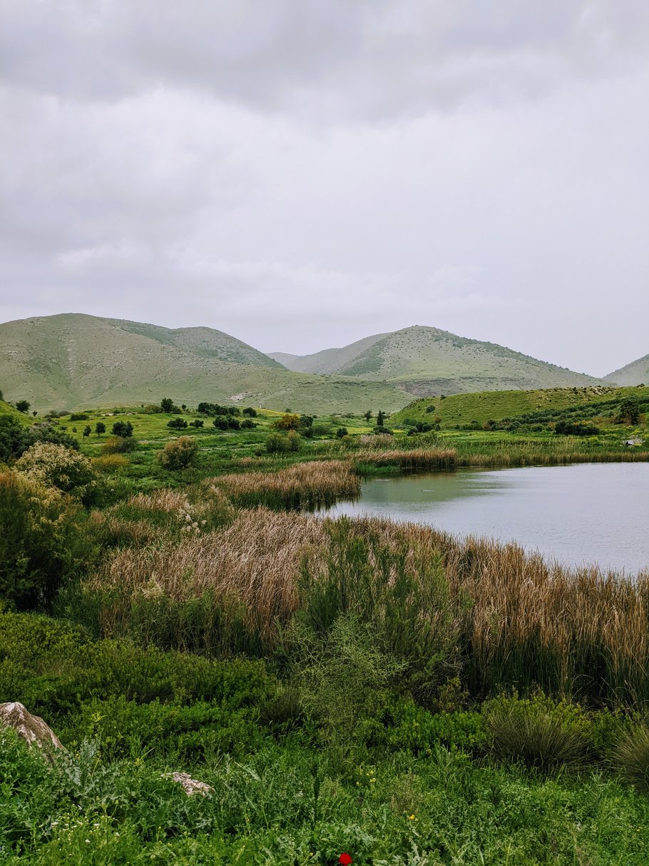 Im Vordergrund: Ein Naturparadies. Im Hintergrund: die Golanhöhen.