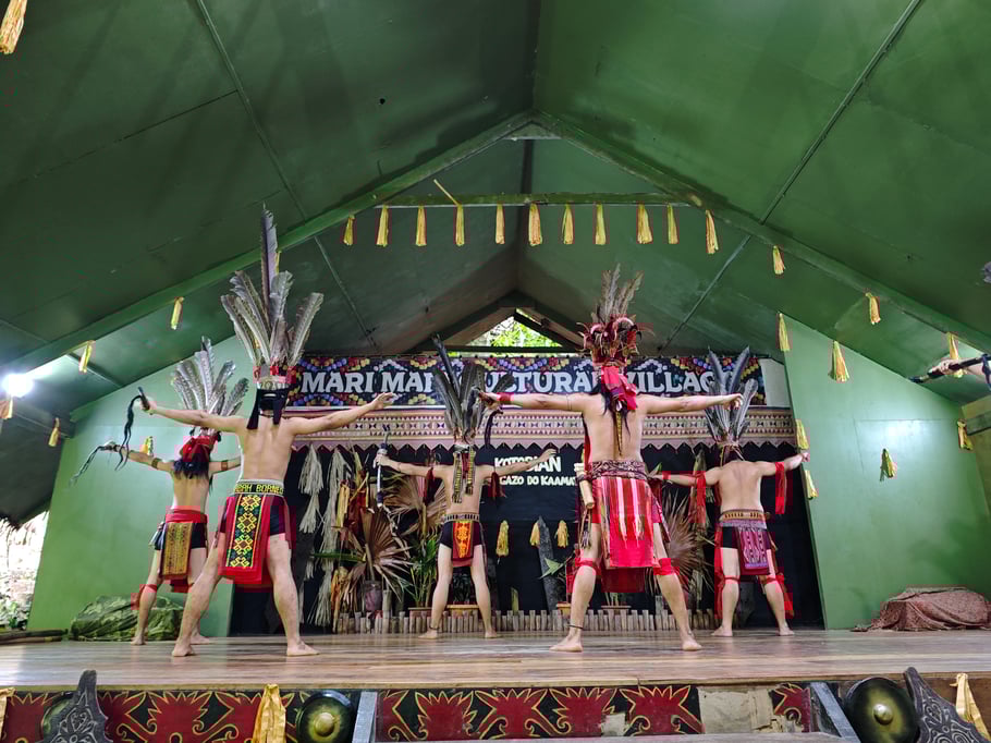 Cultural dance show 
