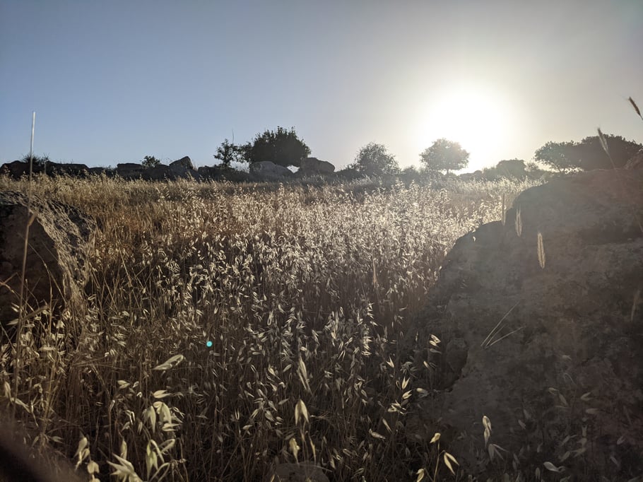 So friedlich und ruhig hier draußen