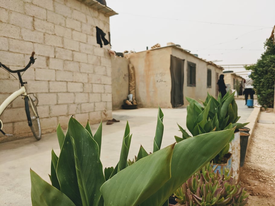 Grüne Terassen in Abu Abdullahs Camp