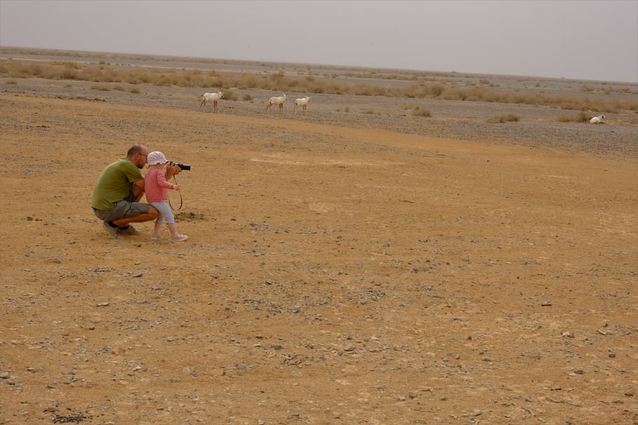 Wir dürfen uns der Herde sogar zu Fuß nähern