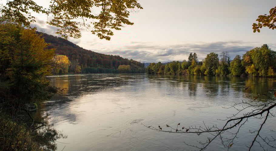 Der Rhein bei Rheinsulz. (Foto CC)