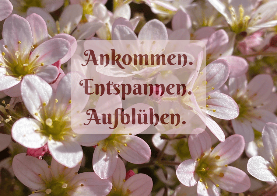 Ganzheitliche Therapie, Selbstbewusstsein, Körperwahrnehmung, Köper Geist und Seele, Bewusstsein, Entwicklung