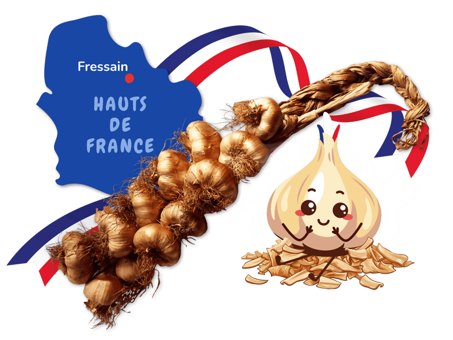 Knoblauch; geräuchert; Ail; fume; fumé; Arleux; Fressain; Frankreich; Nordfrankreich; Knobi; Knolle; Kibu; Kibü; KibüWürze