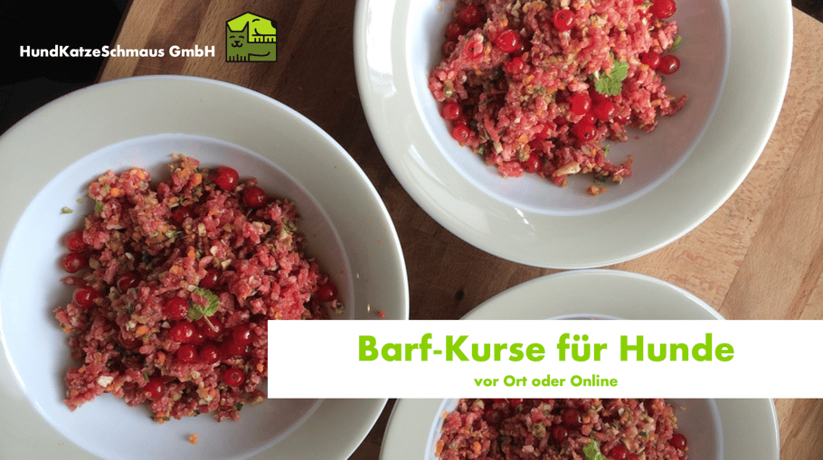 BARF-KURSE für Hunde | hundkatzeschmaus.ch