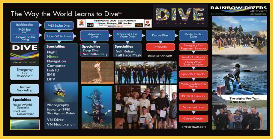 Rainbow Divers Sea Horse 