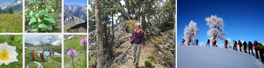 Geführte Wanderung Jura