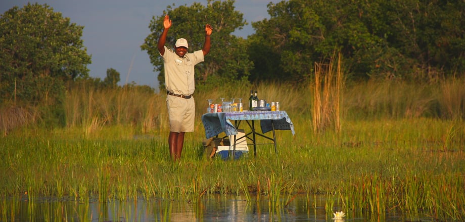 Private safari Cape Town and Victoria Falls