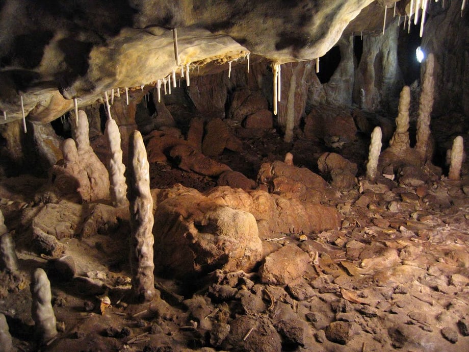 Replica del Sector IV, Cueva de La Garma, para exposición itinerante