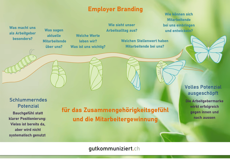 Das Konzept des Employer Brandings zum Fliegen bringen - das macht mit gutkommuniziert.ch sogar Spass