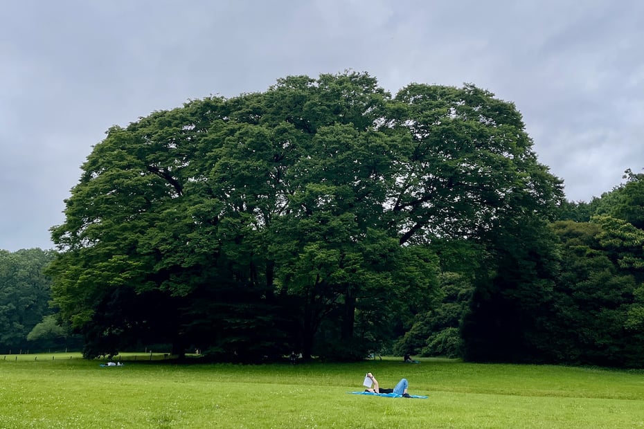 芝生に寝転び、静かに自分と対話するソロ・リフレクション