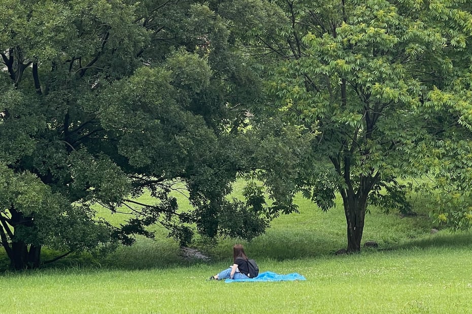 芝生に座って自然に向き合いながら、リフレクションを深める様子