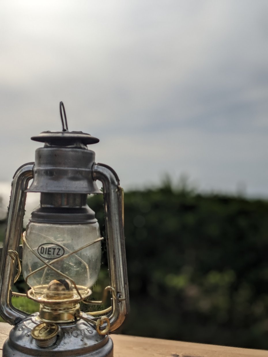 味がでてきました