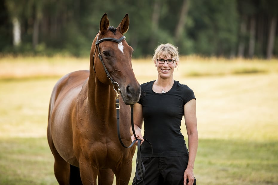 Zahnarzt , Akupunktur und Allgemeinmedizin für Pferde, Tierarztpraxis, Bouasker