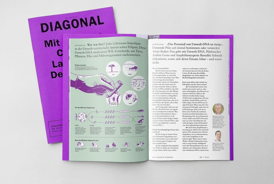 Verwendung der Infografik im DIAGONAL – das WSL-Magazin © Michael Stünzi