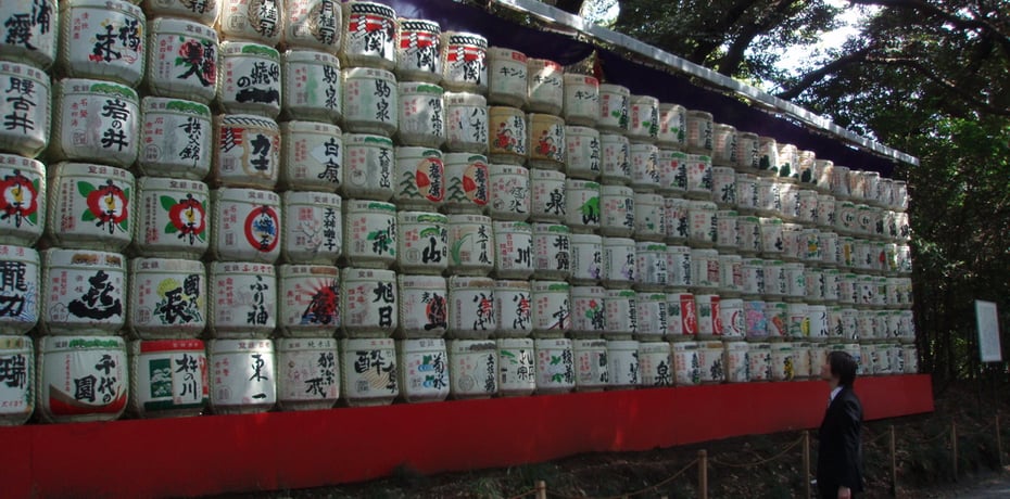 Profi-Texterin, professioneller Texter, kosten texte für website