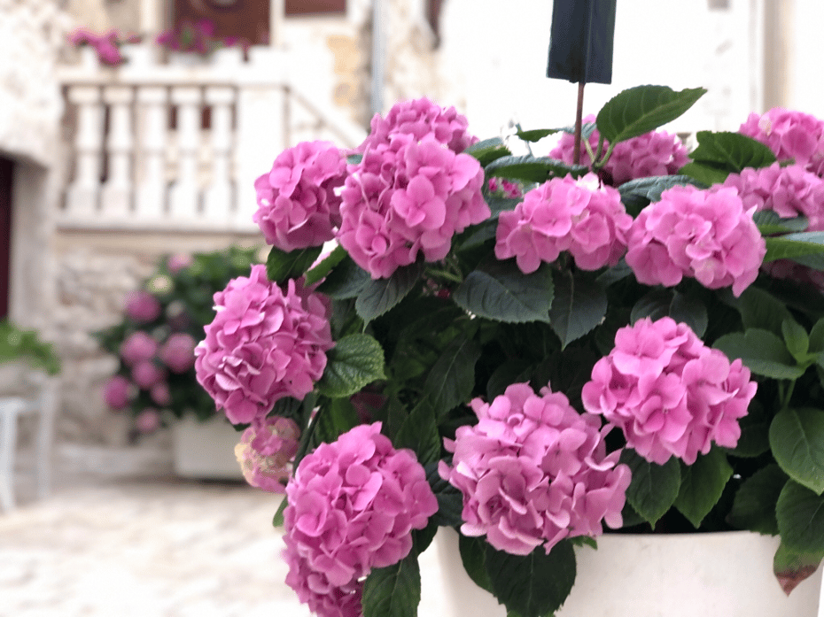 Die Innenstadt von Carovigno. wunderschöne Architketur und Farbenpracht