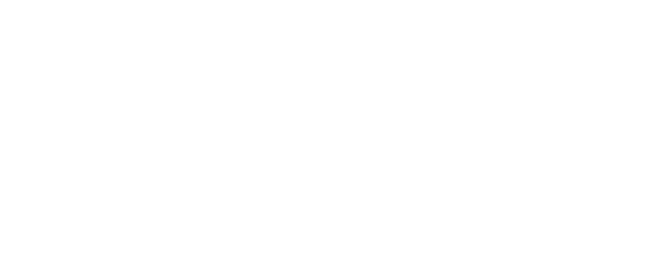 Garage Fuhrer Brienz 