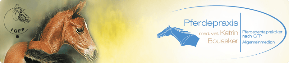 Tierarztpraxis Bouasker