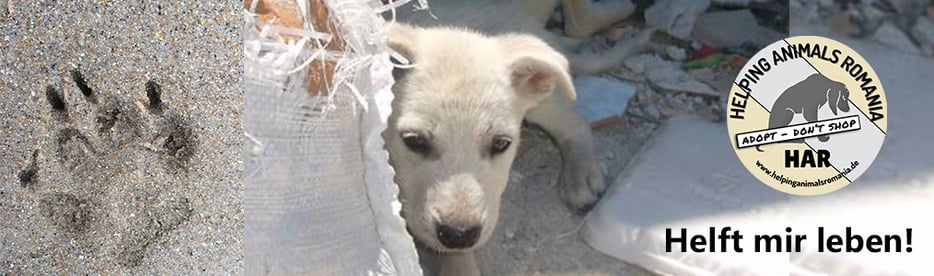 HAR HelpingAnimalsRomania Webseite!
