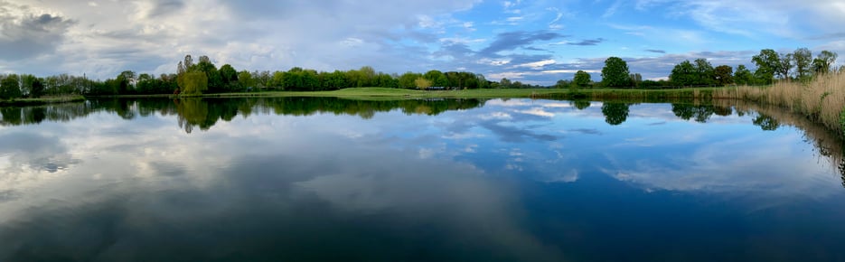 Weiterkommen mit ConCoach: Holistic Life Coaching, persönlich - beruflich - gesundheitlich
