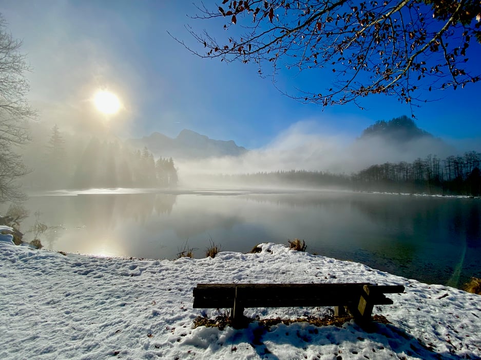 Morgens am Almsee