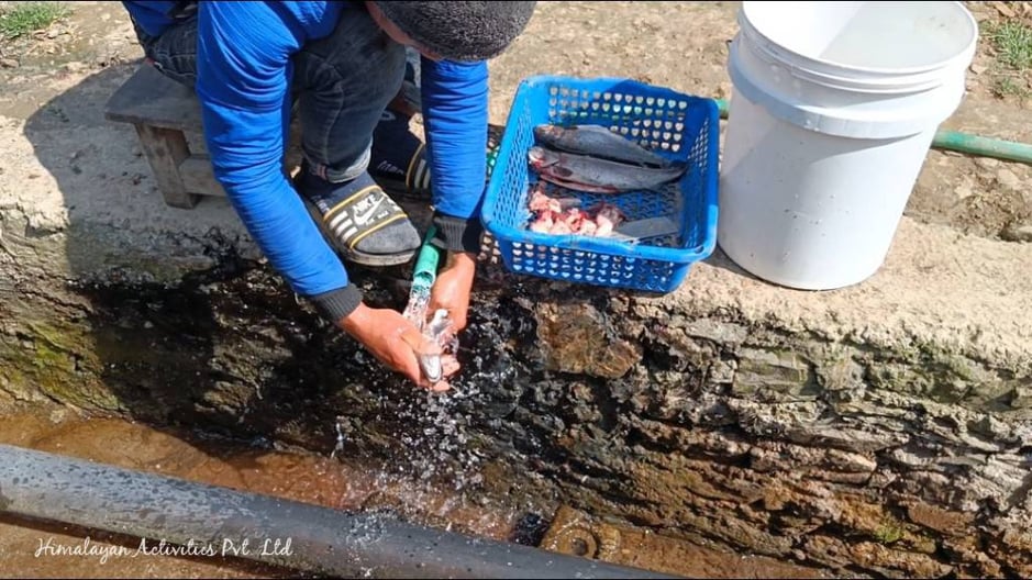 マネドバンのニジマス養殖場