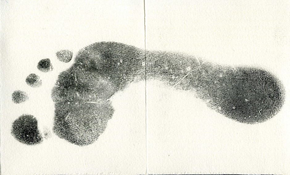 doppia paina con impronta