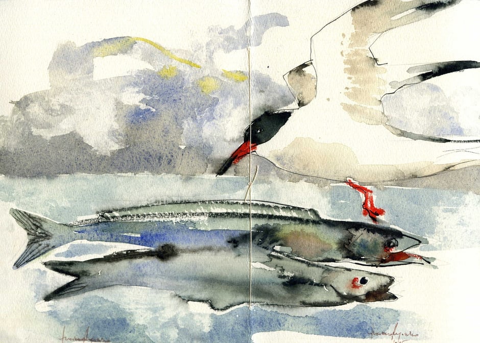 acquarello originale firmato di Luciano Ragozzino a doppia pagina - 220x320 mm