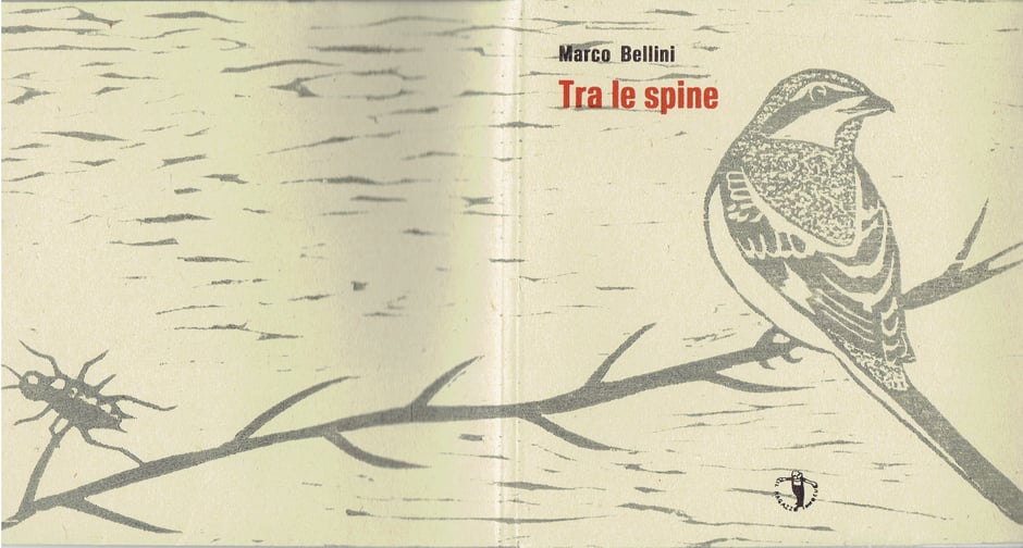 xilografia originale sulla doppia pagina di copertina