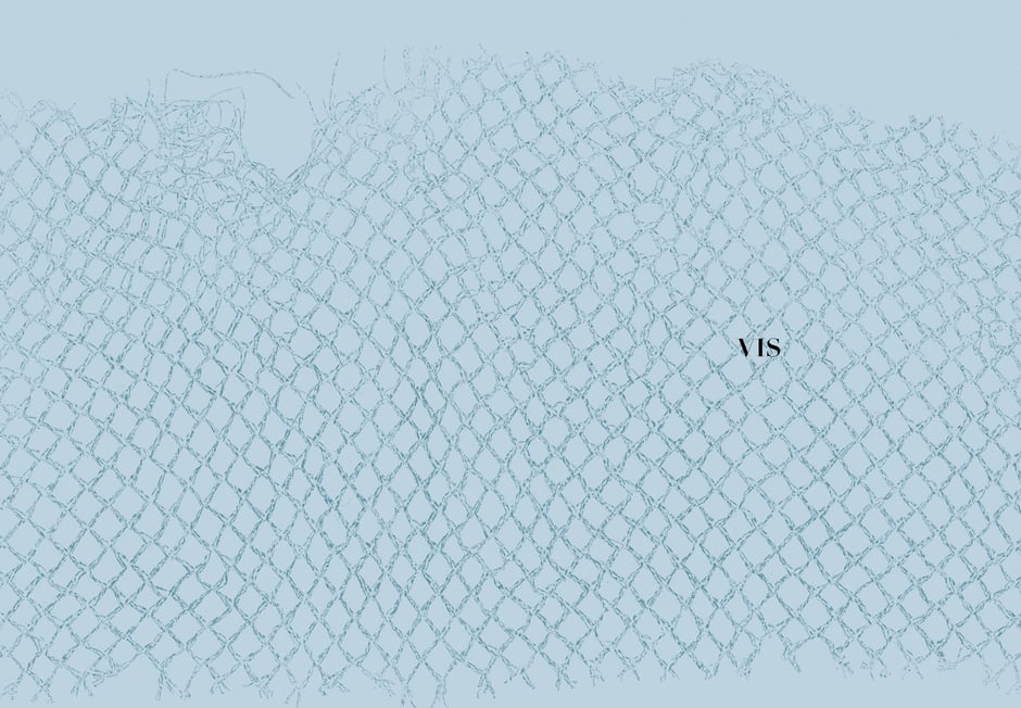 Book design and illustrations by Marijke Lucas - Lucas & Lucas for TERRA - Monoprint FISH