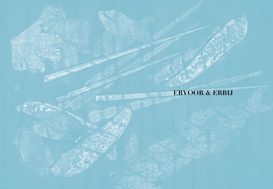 Book design and illustrations by Marijke Lucas - Lucas & Lucas for TERRA - Monoprint STARTERS