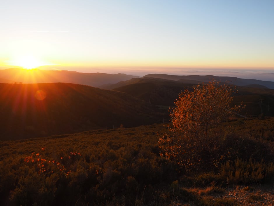 Con luz de atardecer,...Puerto Ancares (Candín, Bierzo, León, Spain) 28 Octubre 2017