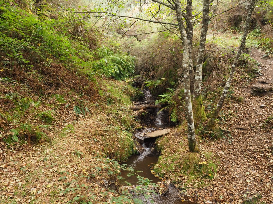 Arroyo de "Fumeixín", aguas de Candín- Candín, Bierzo, León, Spain - Octubre 2017