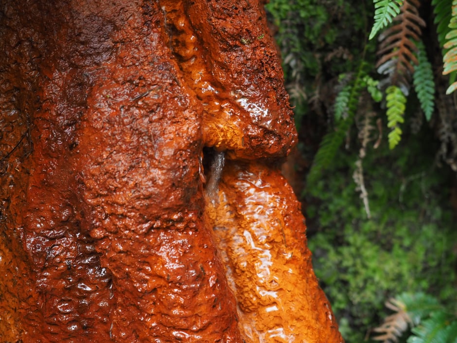 "Fonte de Fumeixín" (fe) - Cerca de Candín, por el "Camino viejo de Rioseco" (Candín, Bierzo, León, Spain) Octubre 2017