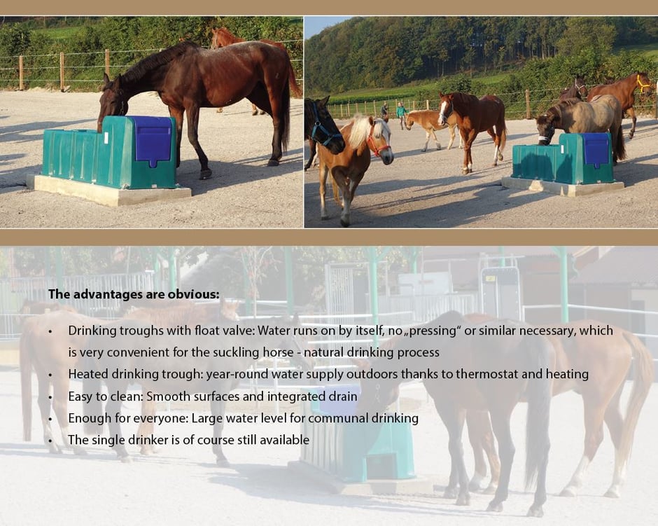 Active Horse stable systems Drinking Troughs