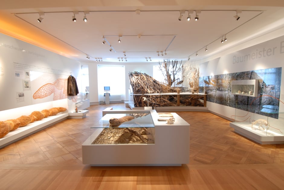 ©Naturmuseum Thurgau