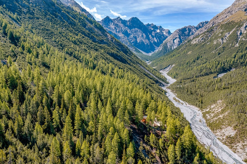 ©Schweizerischer Nationalpark/Hans Lozza